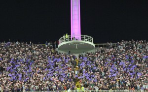 Firenze 28 Agosto 2016 Firenze stadio Artemio Franchi campionato 2016-2017 Fiorentina vs Chievo nella foto COREOGRAFIA Copyright Massimo Sestini