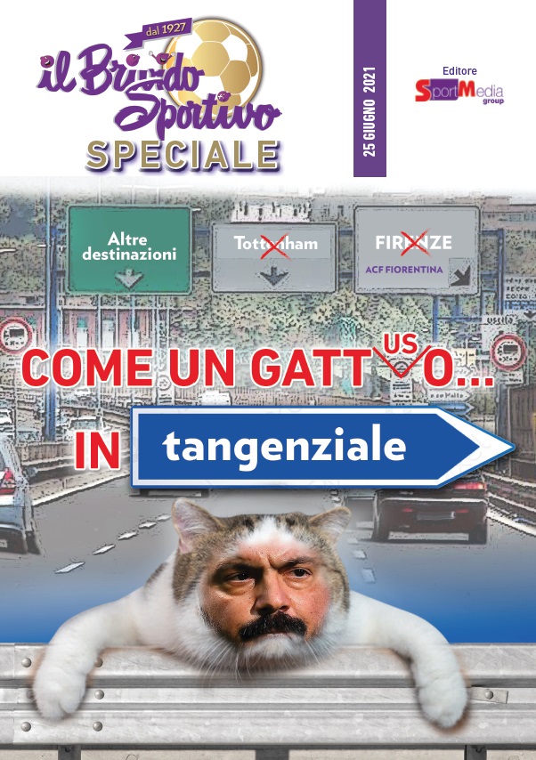 cover gattuso